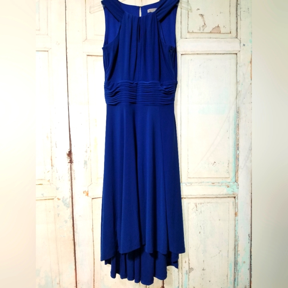 DB Royal Blue Dress